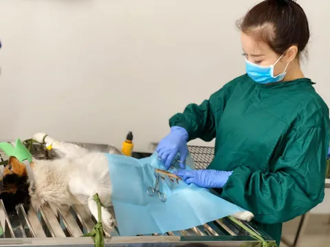 Người đẹp Nguyễn Thị Duyên quyết tâm chinh phục cuộc thi Hoa hậu Doanh nhân Việt nam Toàn cầu 2020