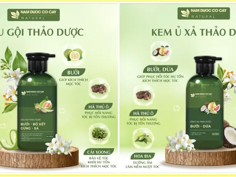 Nam Dược Cỏ Cây và hành trình khẳng định vị thế bằng công nghệ & kiểm định khắt khe