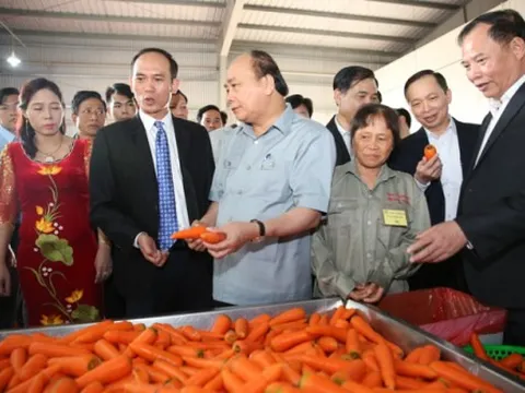 Tháo gỡ vướng mắc, liên kết “6 nhà”, kiến tạo chuỗi giá trị nông sản