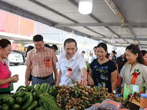 Kết nối giao thương cho sản phẩm OCOP