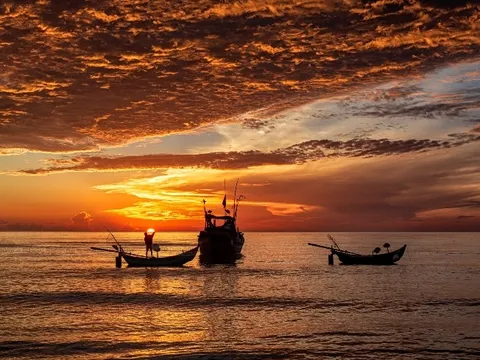 Mạnh Hà 86: Khẳng định thương hiệu hải sản Quảng Ninh chất lượng cao