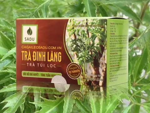 Trà đinh lăng – Thức uống mang tới giấc ngủ ngon