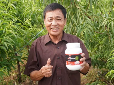 Công ty cổ phần chế phẩm sinh học Dasshu Nhật Bản: Người bạn đồng hành đáng tin cậy của nông dân Việt Nam