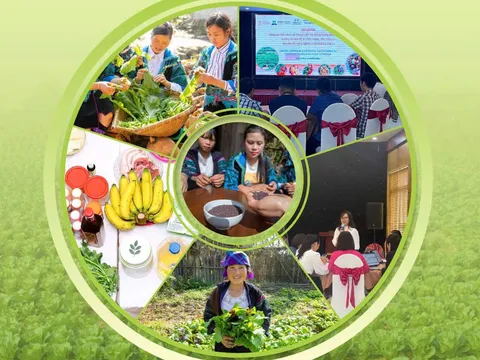 Viện Kinh tế, Văn hóa và Nghệ thuật phối hợp xuất bản Bộ tài liệu về hệ thống thực phẩm