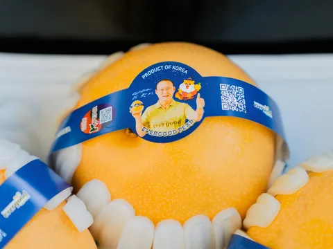 Phân biệt lê Hàn Quốc và lê Trung Quốc: Bí quyết chọn lê Hàn chuẩn chất lượng