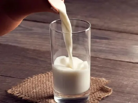 Suy gan nên uống sữa gì để mau hồi phục, tốt cho sức khỏe