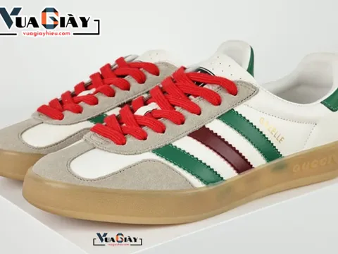 Mẫu giày Adidas kết hợp Gucci tại Vua Giày Hiệu