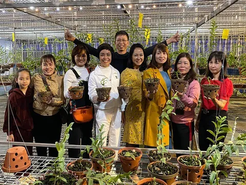 Nghệ nhân Nguyễn Phương Hồng chia sẻ Kỹ thuật trồng và chăm sóc lan Phi điệp nở hoa đẹp