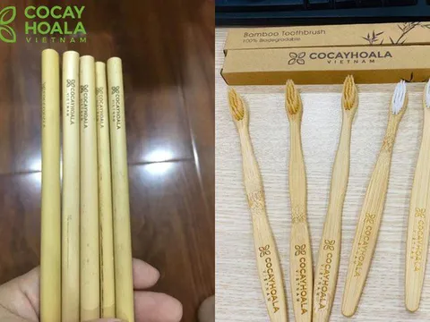 Cỏ cây hoa lá: Tìm lại giá trị nguyên bản từ thiên nhiên