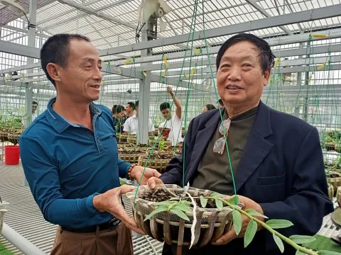 GS. TSKH Trần Duy Quý: Thị trường lan VAR ngày càng phát triển sôi động