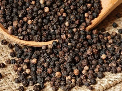 Giá tiêu hôm nay 2/10: Đồng Nai tăng 500 đồng/kg, nhiều tín hiệu phục hồi tích cực