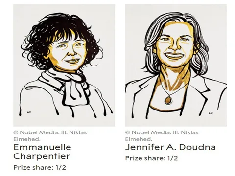 Hai nhà khoa học nữ đạt giải Nobel Hóa Học 2020 với phương pháp chỉnh sửa bộ gen