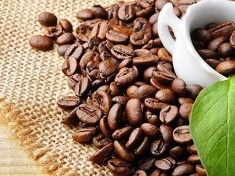 Giá cà phê hôm nay 9/10: Tăng nhẹ, chờ tín hiệu hồi phục những tháng cuối năm