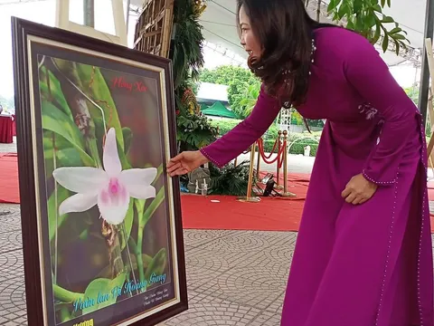 Hà Nội sẽ đấu giá nhiều sản phẩm nông nghiệp có giá trị và vật phẩm quý giá để ủng hộ đồng bào miền Trung bị ảnh hưởng bởi lũ lụt