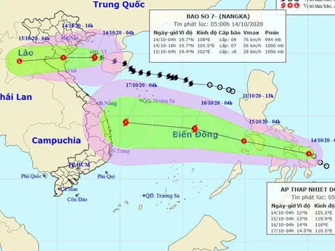 Chiều nay bão số 7 đi vào đất liền các tỉnh Thái Bình đến Nghệ An