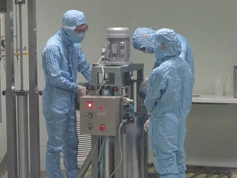 Hành trình thương mại hóa tế bào gốc trị thoái hóa khớp