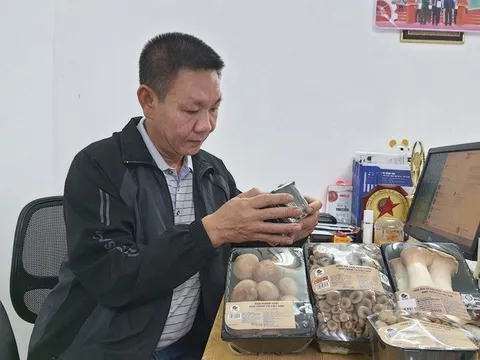 Người đàn ông Hà thành mang 26 tỷ đi trồng nấm