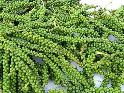 Giá tiêu hôm nay 3/11: Biến động nhẹ theo thị trường thế giới