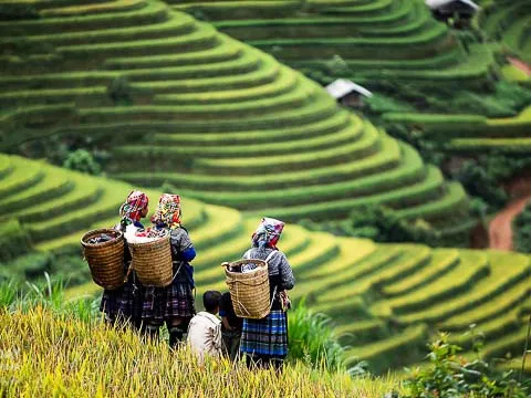 Mù Cang Chải vào top 50 điểm đẹp nhất năm 2020