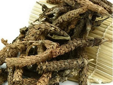 Thuốc và thực đơn chữa bệnh có hạ khô thảo