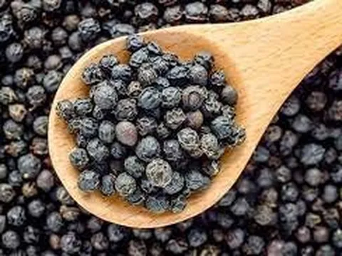 Giá tiêu hôm nay 9/11: Chưa có biến động, giữ nguyên mức 55.000 đồng/kg