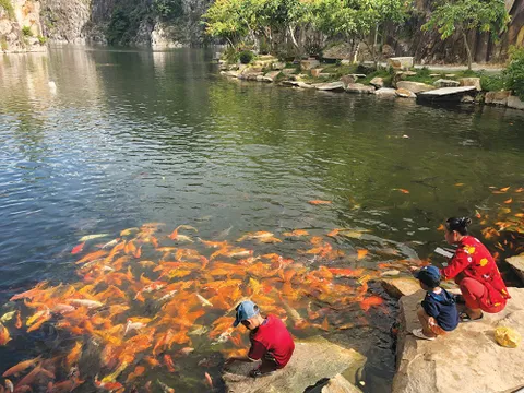 Vãn cảnh Thiền viện Trúc Lâm An Giang