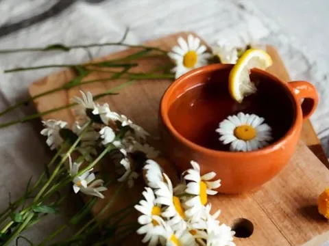 Cách nấu chè hoa cúc dưỡng nhan cực tốt cho chị em