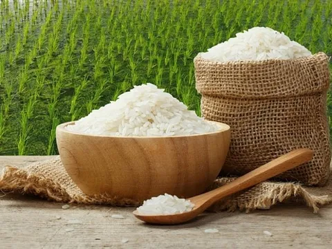 Giá lúa gạo hôm nay ngày 18/11: Giá lúa gạo đi ngang