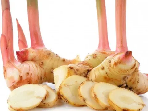 Cao lương khương trị đau dạ dày, cảm lạnh