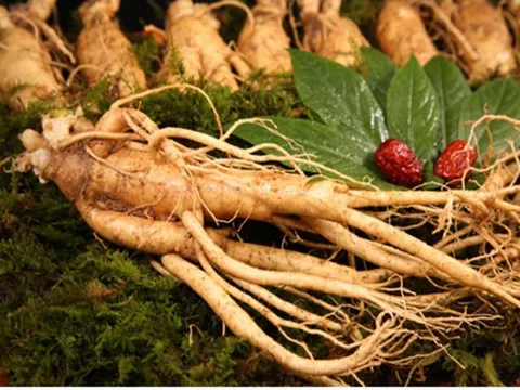 Bài thuốc điều trị viêm mũi dị ứng bằng sâm linh, bạch truật tán