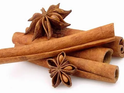 Bạn đã biết hết tác dụng chữa bệnh của vị thuốc quế chi?