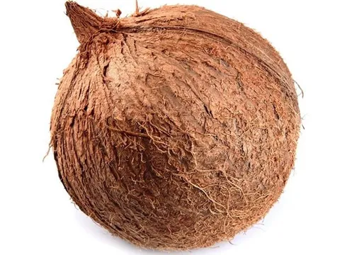 Giá thực phẩm hôm nay 10/12: Nhu cầu mua cao, giá dừa khô tăng mạnh