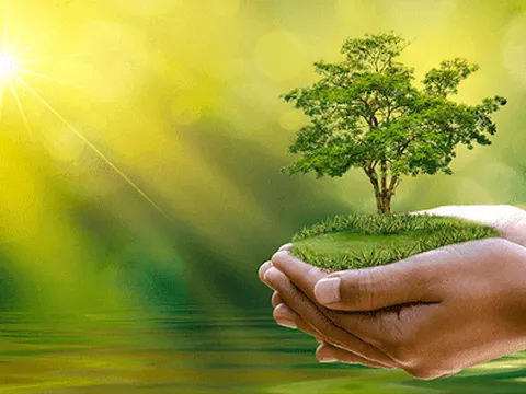 LHQ kêu gọi triển khai 6 hành động bảo vệ môi trường