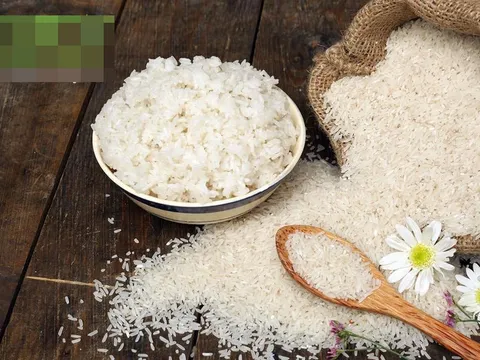 Giá lúa gạo hôm nay ngày 25/12: Giá lúa gạo chững lạ