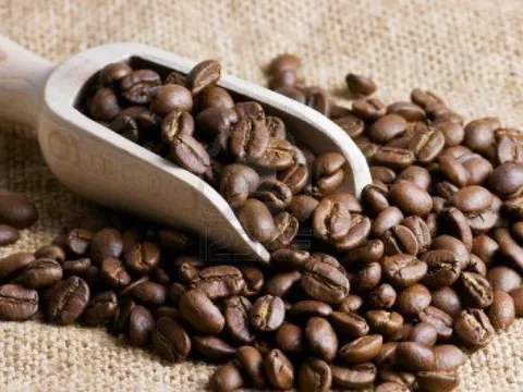 Giá cà phê hôm nay 26/12: Giao dịch cầm chừng, cao nhất 30.000 đồng/kg