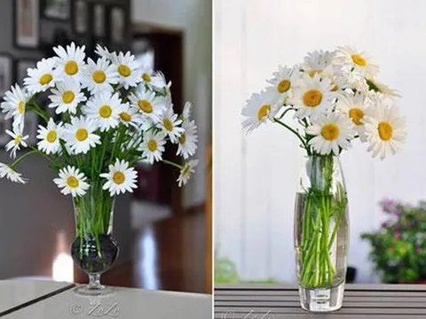 Cách cắm hoa cúc đẹp mang sung túc vào nhà ngày Tết