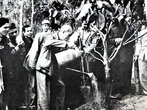 Môi trường bảo vệ ai - Ai bảo vệ môi trường...?