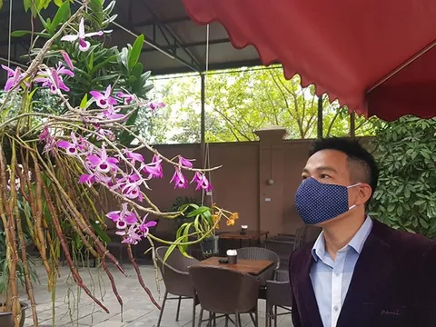 Xin đừng hoang mang