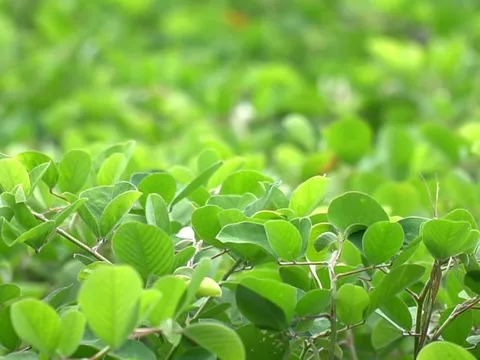 Đằng sau quy trình sản xuất TPCN của nhà máy La Terre France Việt Nam có gì?