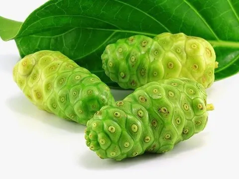 Bật mí cách giảm axit uric máu an toàn, hiệu quả từ thảo dược thiên nhiên