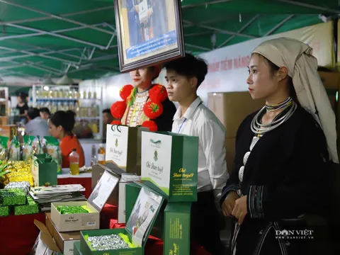 Ngày hội giao thương, kết nối sản phẩm OCOP tại Hà Nội