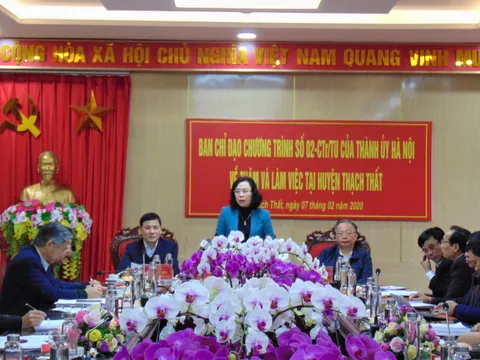 Một số giải pháp đảm bảo an sinh xã hội, nâng cao đời sống người dân và hoàn thành mục tiêu xây dựng Nông thôn mới tại huyện Thạch Thất, Hà Nội