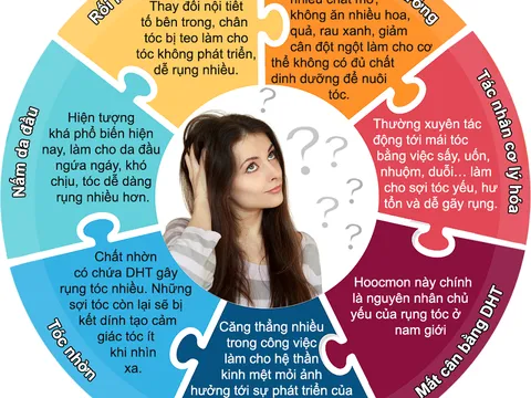 Rút ngắn thời gian rụng tóc hói đầu với viên uống An Calvitie