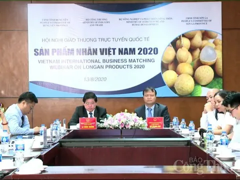 Tìm đường “xuất ngoại” cho trái nhãn trong thời kỳ Covid-19