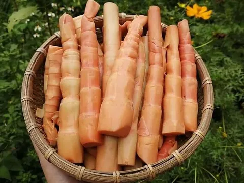 Măng le đỏ gần 200.000 một kg vẫn hút khách