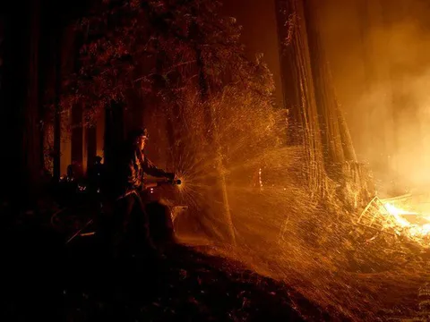 650 đám cháy rừng càn quét bang California, 7 người chết