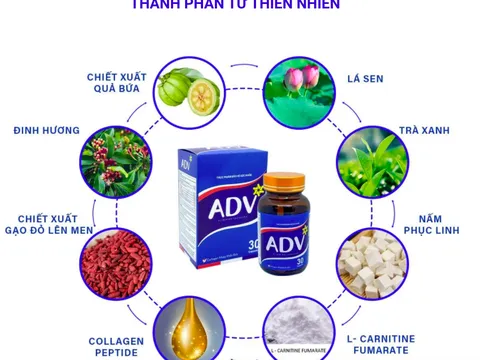 Các loại thảo dược giúp giảm cân an toàn trong thực phẩm bảo vệ sức khỏe ADV