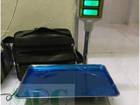 Địa chỉ sửa chữa cân điện tử uy tín tại Thành phố Hồ Chí Minh