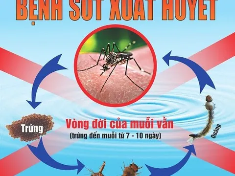 Sốt xuất huyết- Chớ chủ quan!