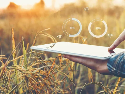 InvestPlus – Kênh đầu tư phái sinh hàng hóa uy tín